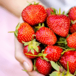 Morango do amor...